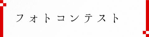 フォトコンテスト