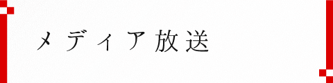 高崎まつり大花火大会開催情報